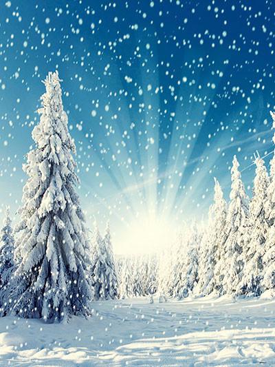 Katebackdrop£ºKate Winter Scenery Forest With Snow Photography Backdrop