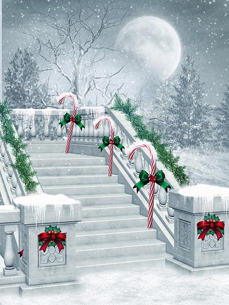 Kate Winter Scene Moon Snowflake Background Christmas - Kate backdrop UK