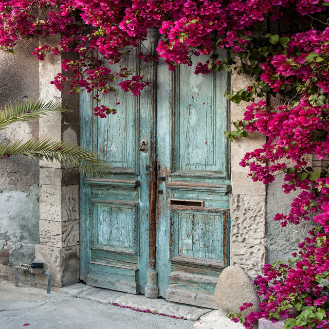 Kate Blue Door Red Floral Scenery Concrete Backdrop for Couple Photography