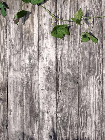 Katebackdrop£ºKate Gray Wood Wall With Leaf Photography Backdrop