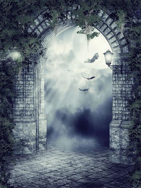 Kate Halloween Bat Moonlight Arch Backdrops for Photography - Kate backdrop UK