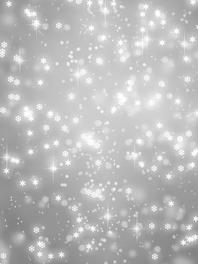 Katebackdrop£ºKate Silver Wall White Snow Light Spot Backdrops For Studio