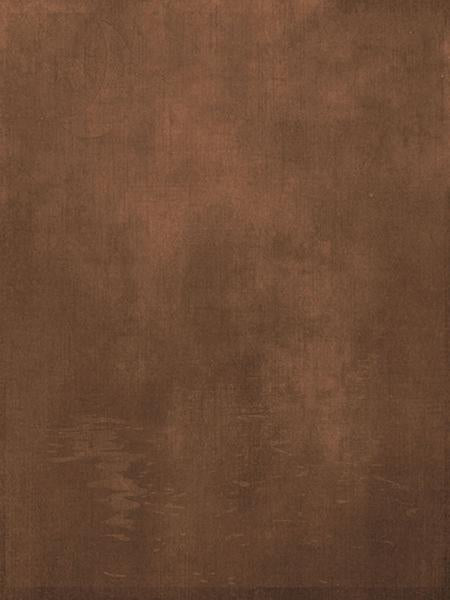 Katebackdrop£ºKate Dark Brown Backdrop Moon Abstract Photo