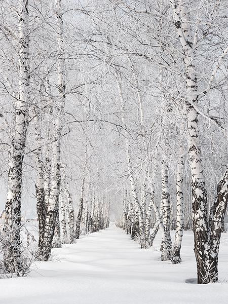 Katebackdrop£ºKate Winter Scenic Phtography Tree Snow Photo Background