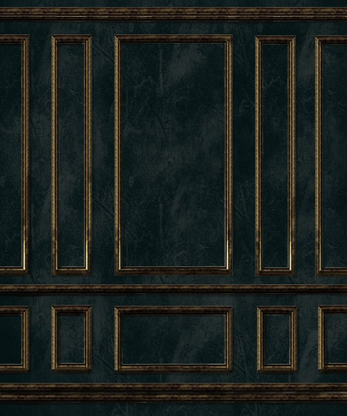 Kate Dark Green Vintage Classical Door wall Backdrop for Photography
