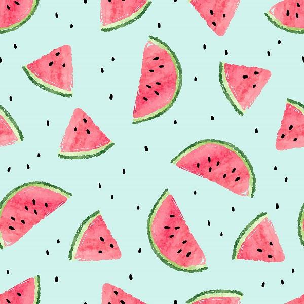 Kate Fresh Background Summer Watermelon Backdrop cake smash/birthday