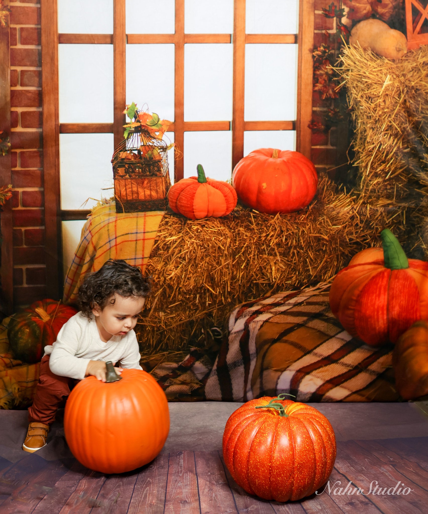 Kate Autumn Window Thanksgiving Pumpkins Backdrop for Photography