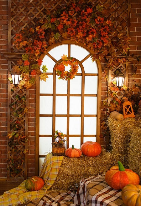  Autumn Window Thanksgiving Pumpkins