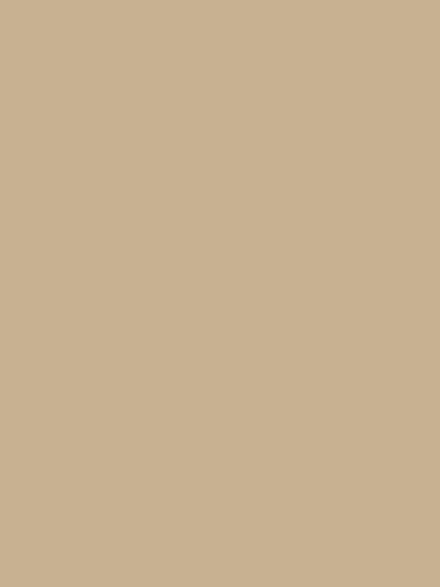 Kate Solid Cream Cloth Backdrop Portrait Photography for Studio(HGCSB) -UK
