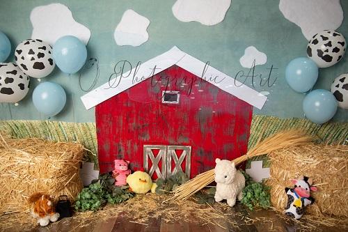 Kate Boy Barn Backdrop for Photography Designed by Jenna Onyia -UK