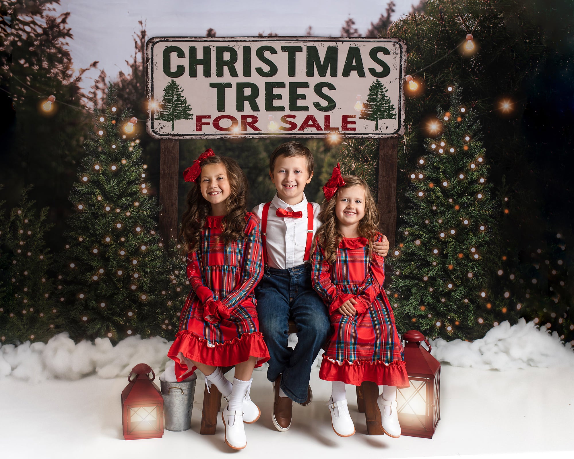 Kate Christmas Trees Backdrop for Photography Designed By JS Photography