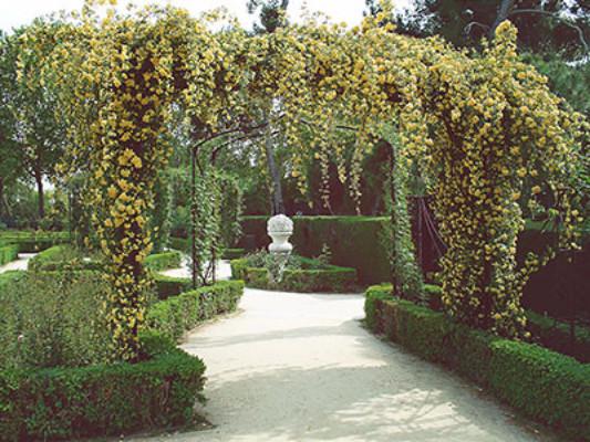 Katebackdrop£ºKate Park Spring Wedding Backdrop Green Garden For Photography