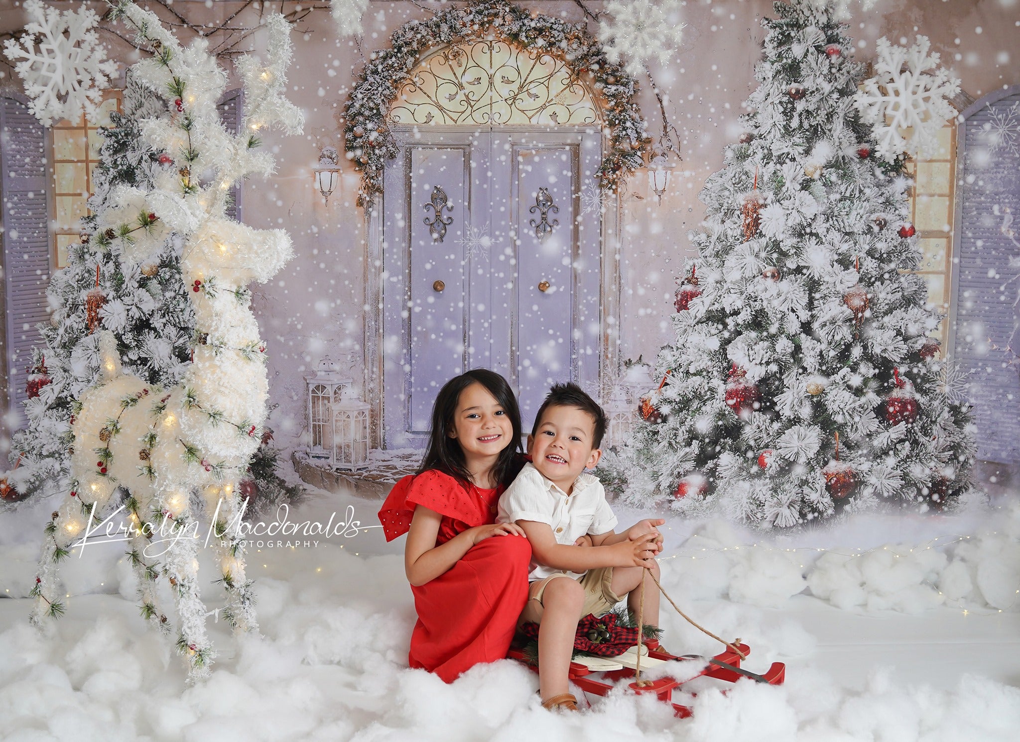 Kate Christmas Door Front Snow Backdrop for Photography