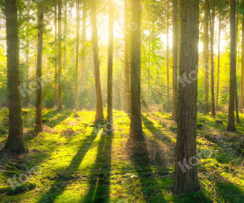 Kate Spring Natural Sunshine Forest Backdrop for photography