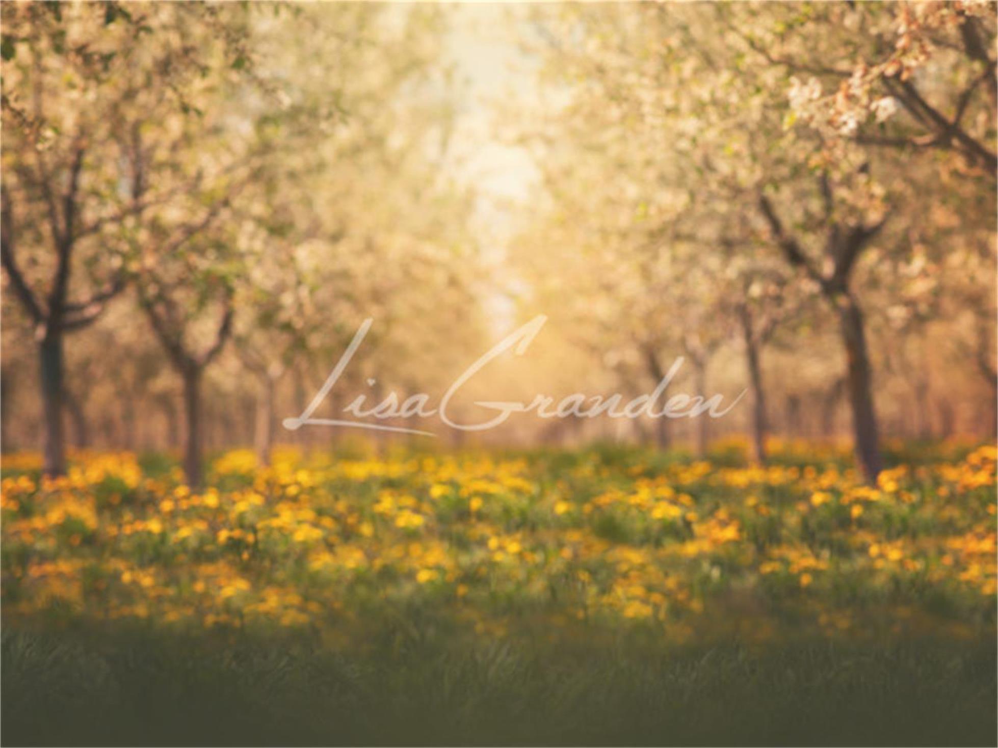 Kate Springtime Orchard in Yellow Backdrop for Photography Designed by Lisa Granden -UK