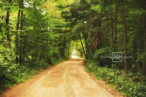 Kate Dirt Road Backdrop Designed by Mandy Ringe Photography