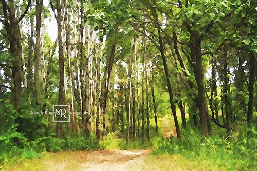 Kate Summer Forest Path Backdrop Designed by Mandy Ringe Photography