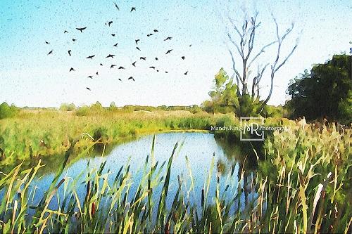 Kate Summer Pond Backdrop Designed by Mandy Ringe Photography -UK