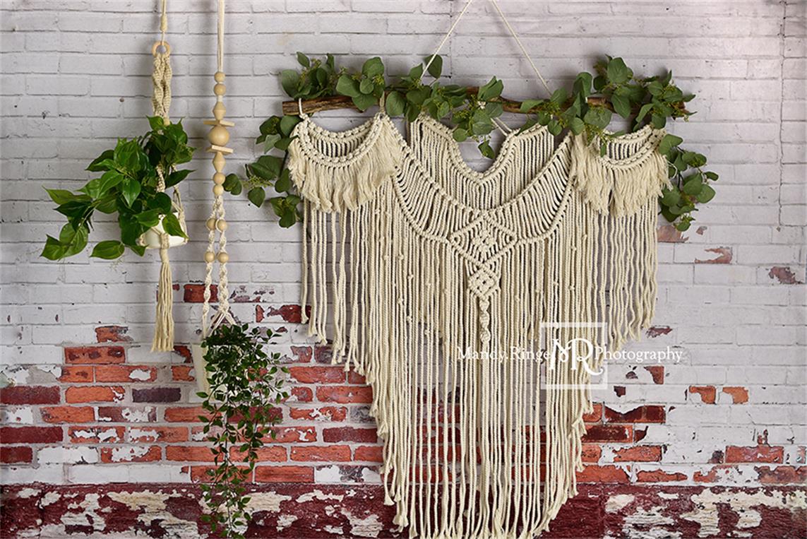 Kate Boho Macrame Wall with Plants Backdrop Designed By Mandy Ringe Photography