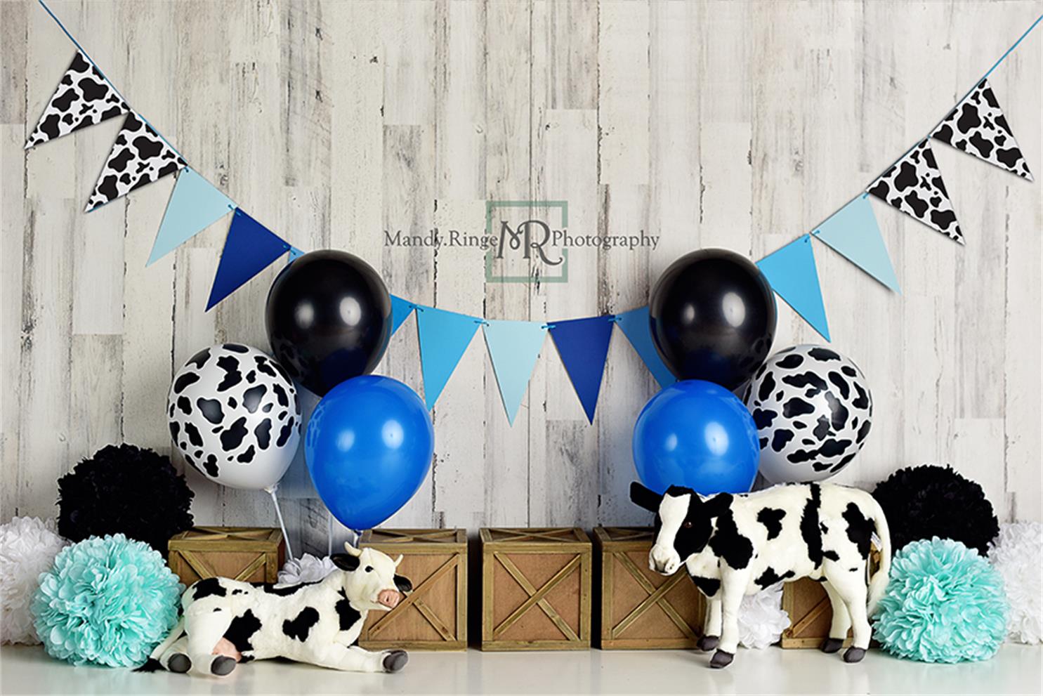 Cow Birthday for Boys Children Backdrop