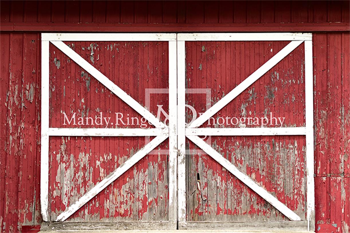 Rustic Red Barn Door Backdrop