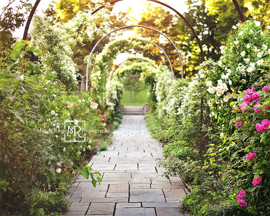 Kate Spring Secret Garden Path Backdrop Designed By Mandy Ringe Photography