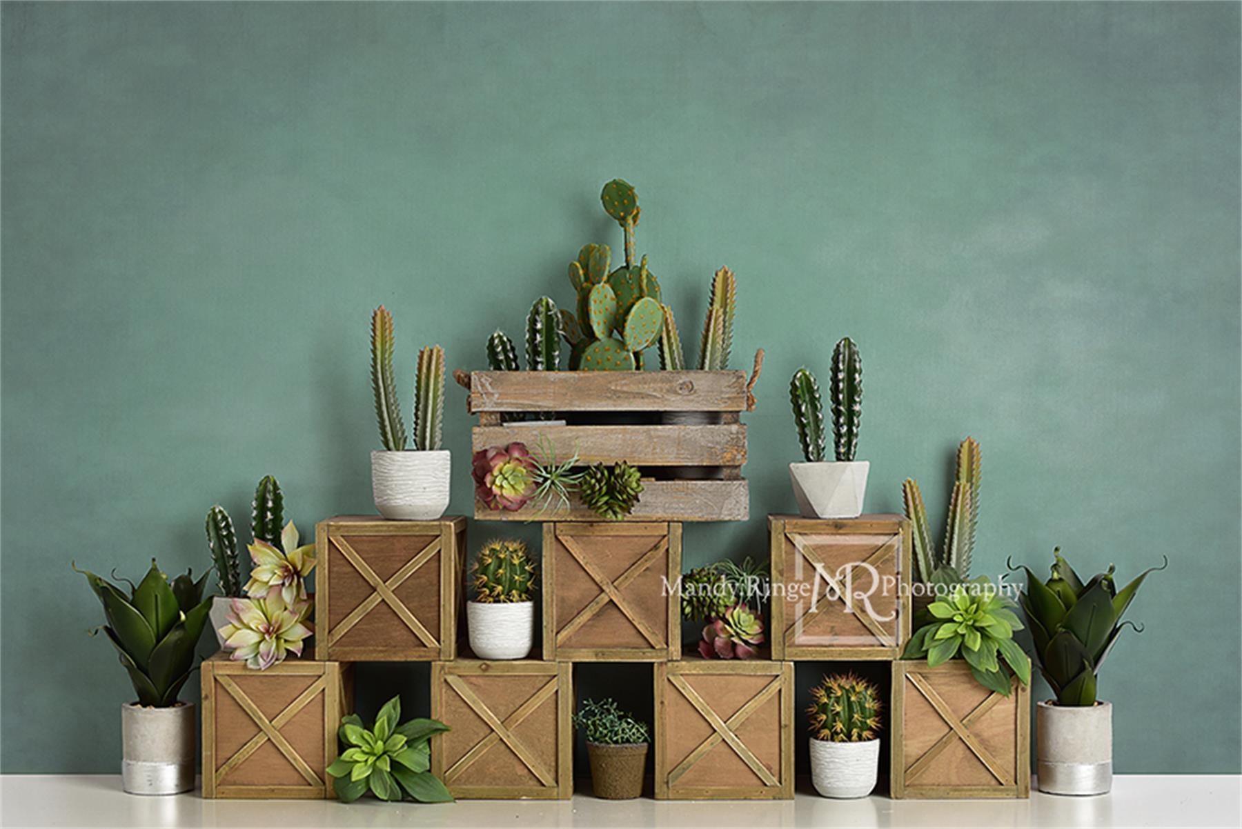 Kate Spring Cactus and Succulents with Crates Backdrop for Children Designed By Mandy Ringe Photography