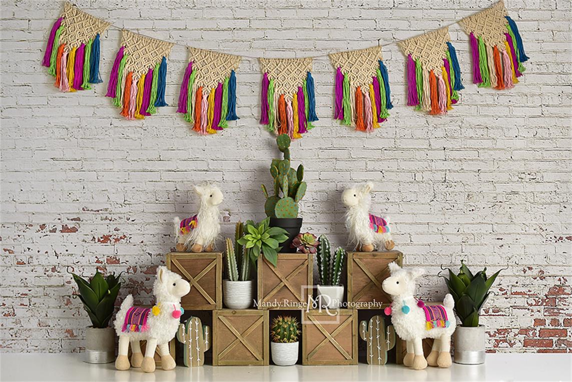 Kate Spring Llamas with Cactus and Macrame Backdrop Designed By Mandy Ringe Photography