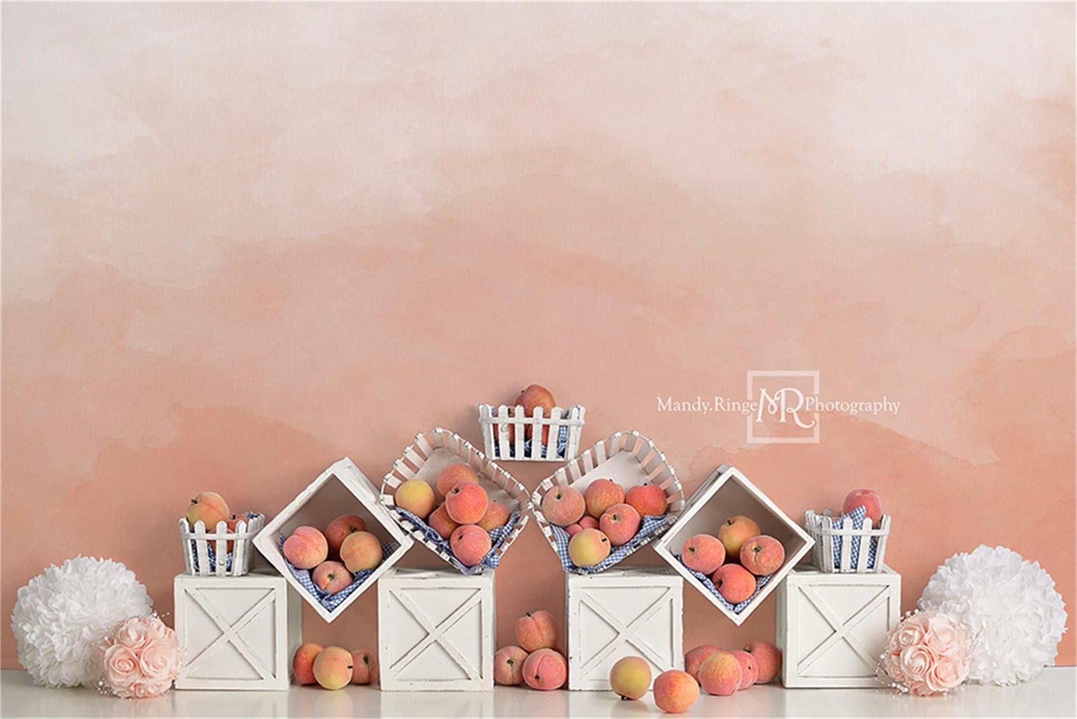 Kate Autumn Peaches and Cream Backdrop Designed By Mandy Ringe Photography