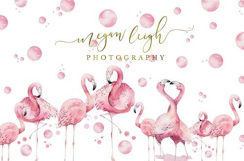 Kate Flamingo on White Backdrop Designed by Megan Leigh Photography