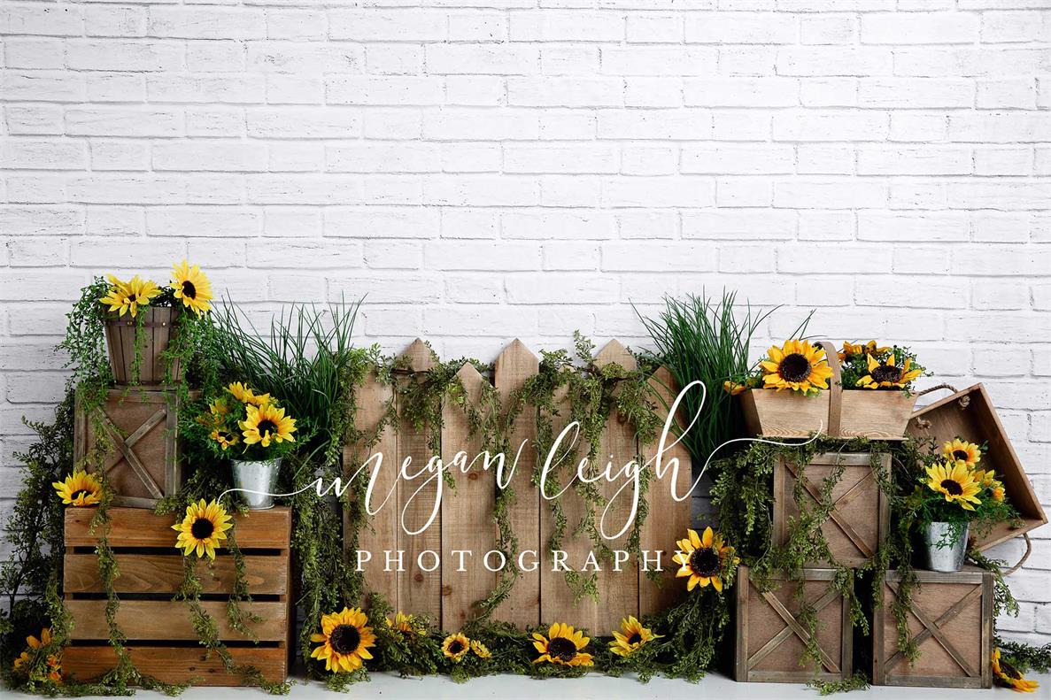 Kate Spring Sunflower White Brick Backdrop Designed by Megan Leigh Photography
