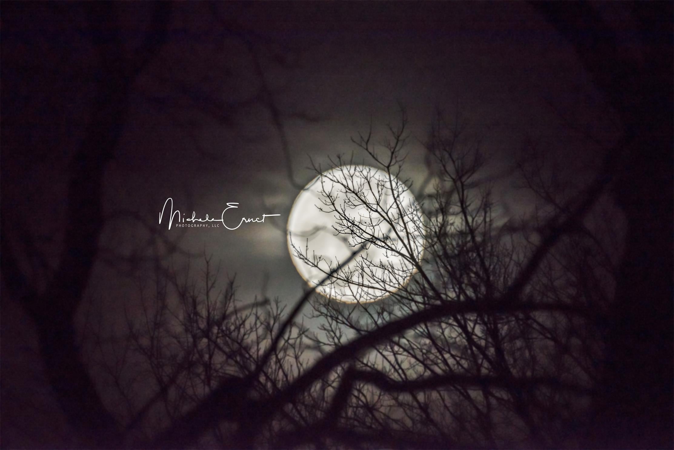 Moon in the Midnight Scenery Backdrop