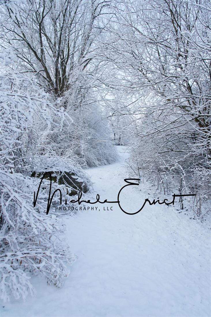 Katebackdrop¡êoKate Woodland Winter Snow Backdrop Designed by Michele Ernst Photography