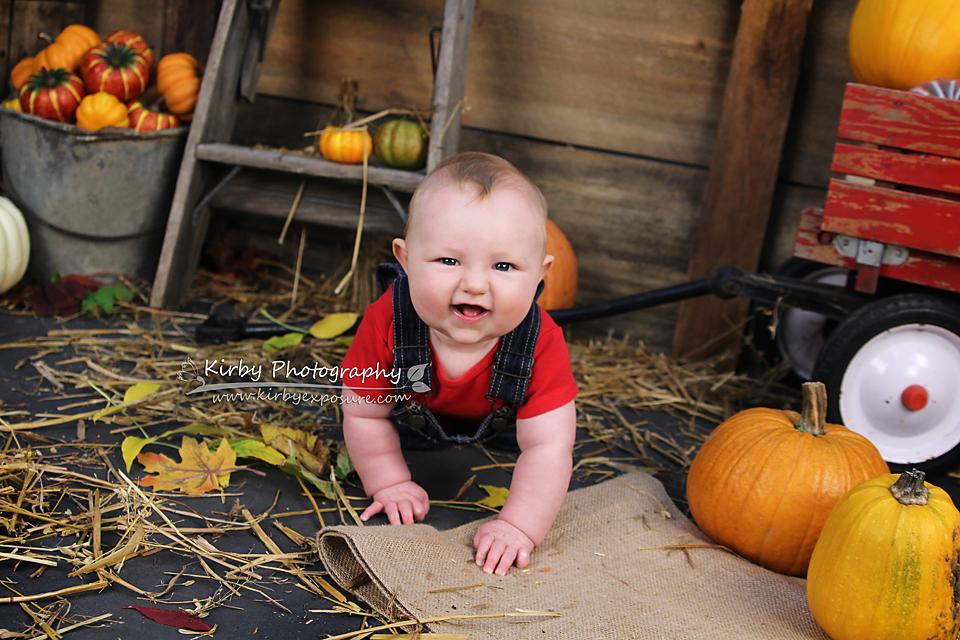 Kate Pumpkin Harvest Backdrop Autumn and Halloween designed by Arica Kirby