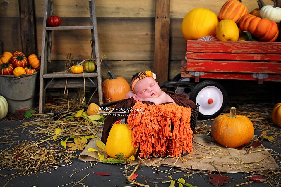 Kate Pumpkin Harvest Backdrop Autumn and Halloween designed by Arica Kirby