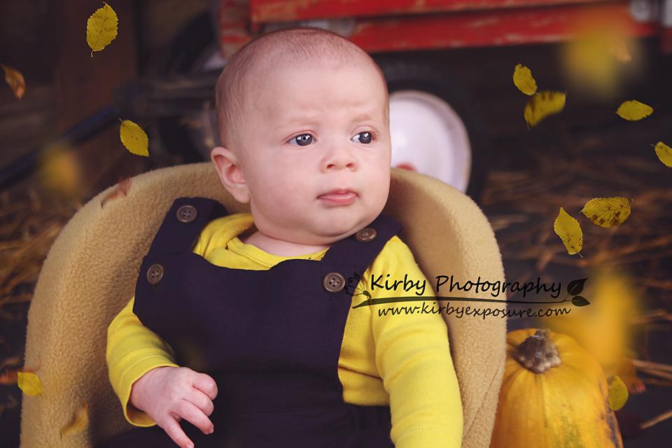 Kate Pumpkin Harvest Backdrop Autumn and Halloween designed by Arica Kirby