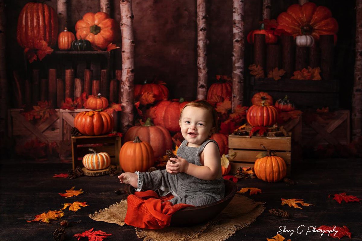 Kate Autumn Pumpkins Backdrop Designed by Jia Chan Photography