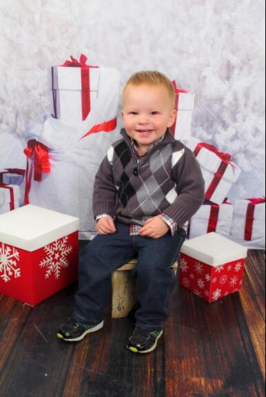 Kate Gift And Snow Tree Backdrop for Christmas Photography