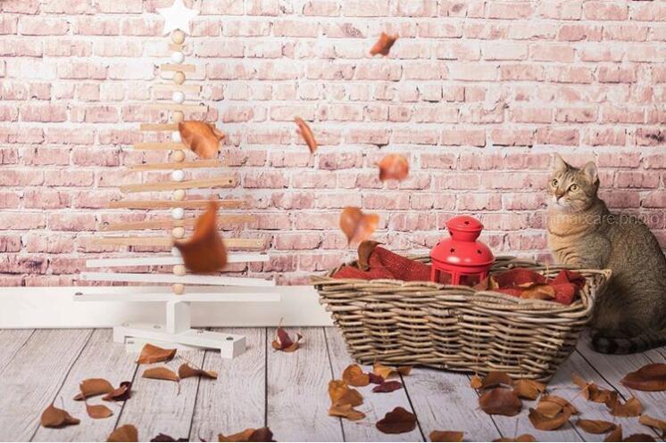 Kate Khaki brick backdrop photography with wood floor - Kate backdrop UK