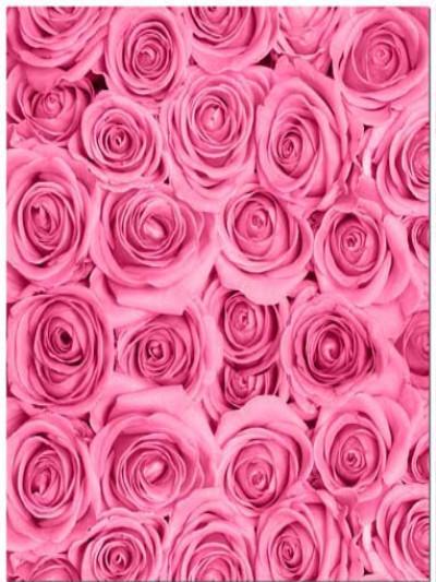 Katebackdrop£ºKate Fabric Pink Rose Flower Clusters Backdrop Photography