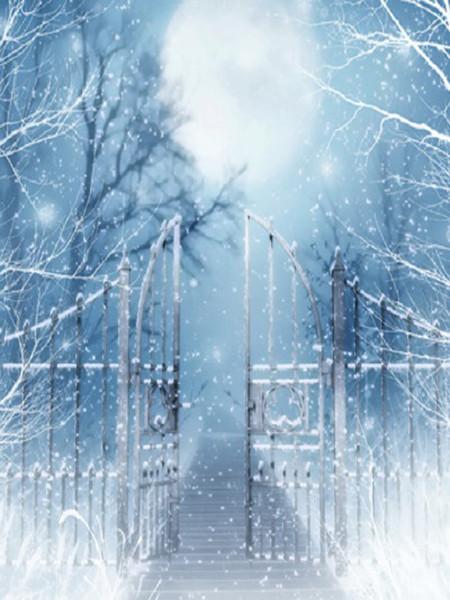 Katebackdrop£ºKate Winner Photography Backdrops Bridge Gate With Snow Backdrop