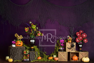 Spooky Garden Halloween