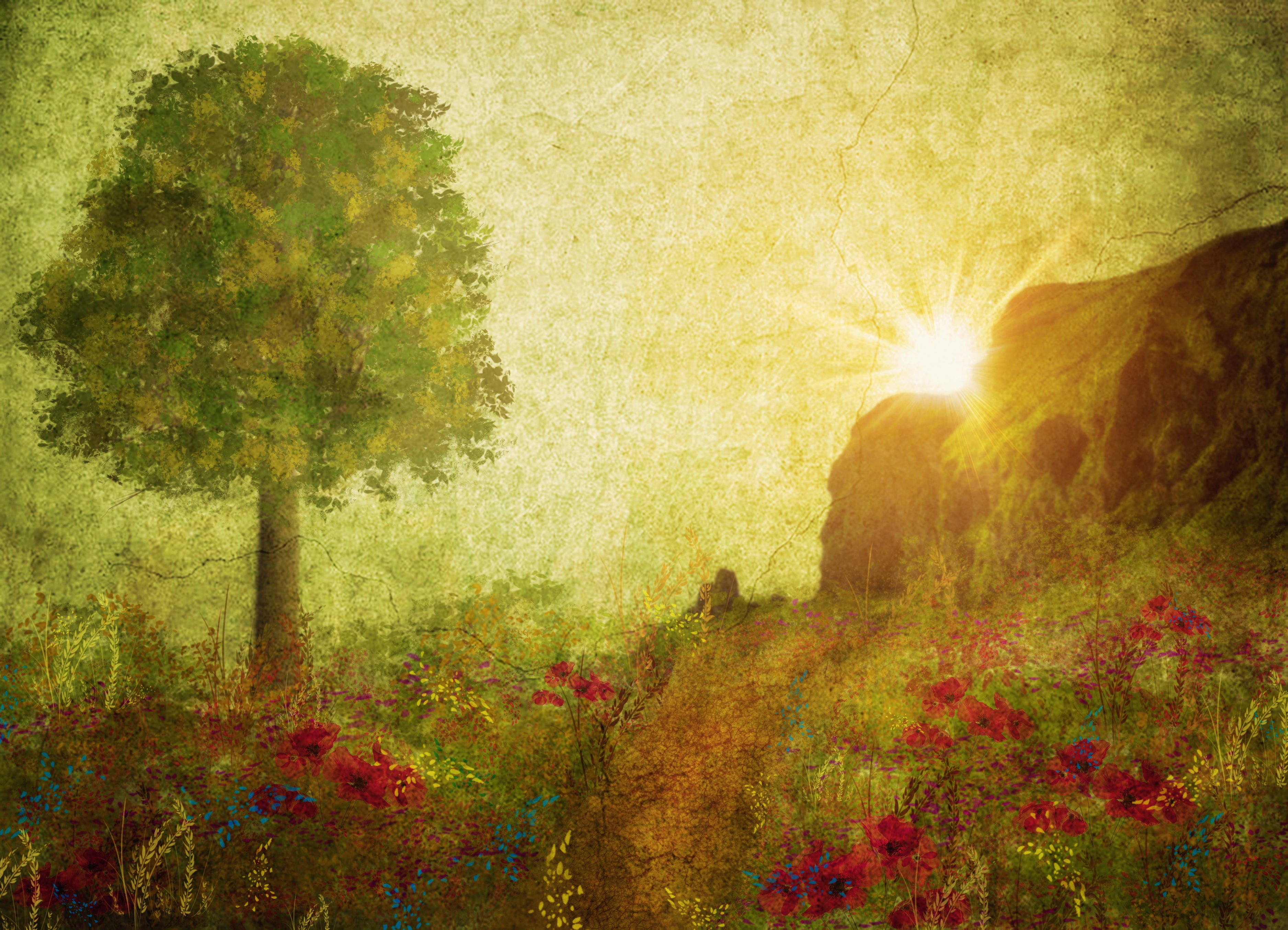 Kate Texture Summer Painting Vintage Sunrise Designed by Thousand Words Photography