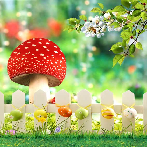 Kate Easter Backdrops Natural Scenery Spring Photography Background for Children Colorful Eggs Photo Background - Kate backdrop UK