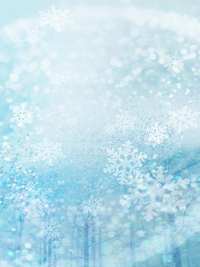 Kate Blue White Glitter Snowflake Winter Bokeh Halos Backdrops Christmas - Kate backdrops UK