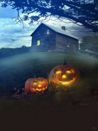 Kate  Pumpkin Lantern Lawn House Light Backdrop for Halloween Photography - Kate backdrops UK