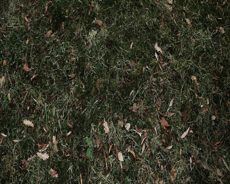 Kate Grassland Fallen Leaves Rubber Floor Mat -UK