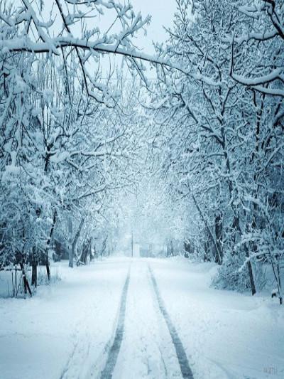 Katebackdrop£ºKate Winter Scenery Snow Road Forest Photography Backdrop