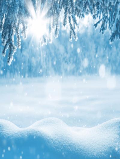 Katebackdrop£ºKate Photo Backgrounds Frozen Thick Snow Winter Sun White World