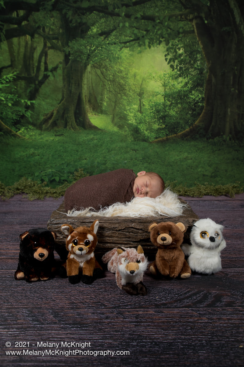 Kate Fantasy Deep forest Sunshine Backdrops for Photography - Kate backdrop UK